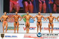 Чемпионат России по бодибилдингу - 2013