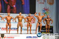 Чемпионат России по бодибилдингу - 2013