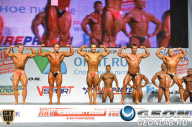 Чемпионат России по бодибилдингу - 2013
