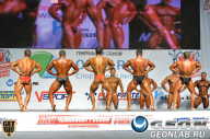 Чемпионат России по бодибилдингу - 2013