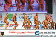 Чемпионат России по бодибилдингу - 2013