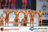 Чемпионат России по бодибилдингу - 2013