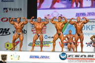 Чемпионат России по бодибилдингу - 2013
