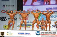 Чемпионат России по бодибилдингу - 2013