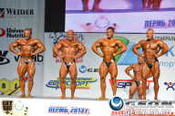 Чемпионат России по бодибилдингу - 2013
