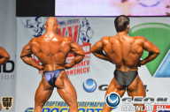 Чемпионат России по бодибилдингу - 2013