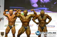 Чемпионат России по бодибилдингу - 2013