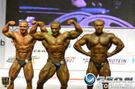 Чемпионат России по бодибилдингу - 2013