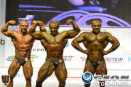 Чемпионат России по бодибилдингу - 2013