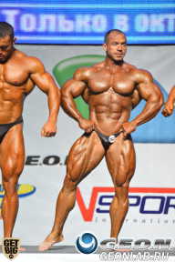Чемпионат России по бодибилдингу - 2013