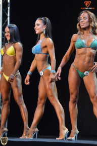 Grand Prix Fitness House Pro - 2014