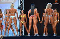 Grand Prix Fitness House Pro - 2014