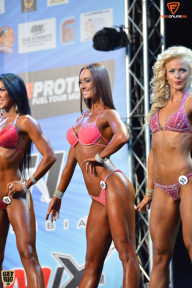 Grand Prix Fitness House Pro - 2014