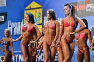 Grand Prix Fitness House Pro - 2014