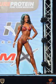 Grand Prix Fitness House Pro - 2014