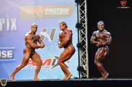 Grand Prix Fitness House Pro - 2014