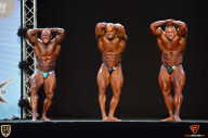 Grand Prix Fitness House Pro - 2014