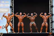 Grand Prix Fitness House Pro - 2014