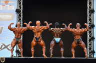 Grand Prix Fitness House Pro - 2014