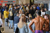 Men’s Physique & Bikini Stars - 2017