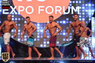 SN PRO EXPO - 2017