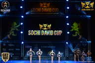 Sochi David Cup - 2017