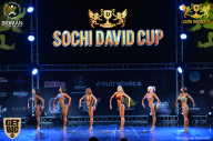 Sochi David Cup - 2017