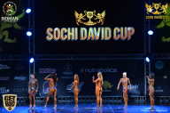 Sochi David Cup - 2017