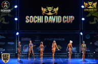 Sochi David Cup - 2017