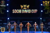 Sochi David Cup - 2017