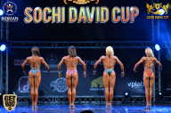 Sochi David Cup - 2017