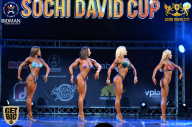 Sochi David Cup - 2017