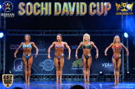 Sochi David Cup - 2017