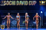 Sochi David Cup - 2017