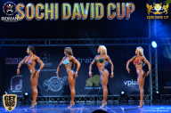 Sochi David Cup - 2017