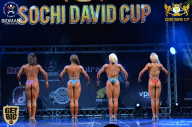 Sochi David Cup - 2017