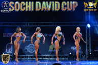 Sochi David Cup - 2017