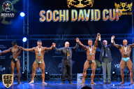 Sochi David Cup - 2017