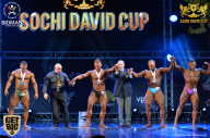 Sochi David Cup - 2017