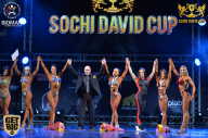 Sochi David Cup - 2017