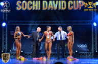 Sochi David Cup - 2017