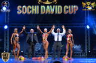 Sochi David Cup - 2017