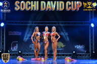 Sochi David Cup - 2017