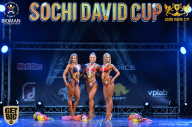 Sochi David Cup - 2017