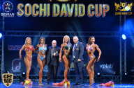 Sochi David Cup - 2017