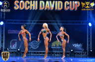 Sochi David Cup - 2017