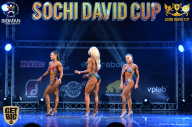 Sochi David Cup - 2017