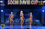 Sochi David Cup - 2017