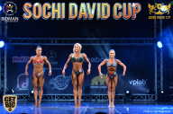 Sochi David Cup - 2017