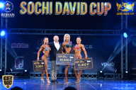 Sochi David Cup - 2017